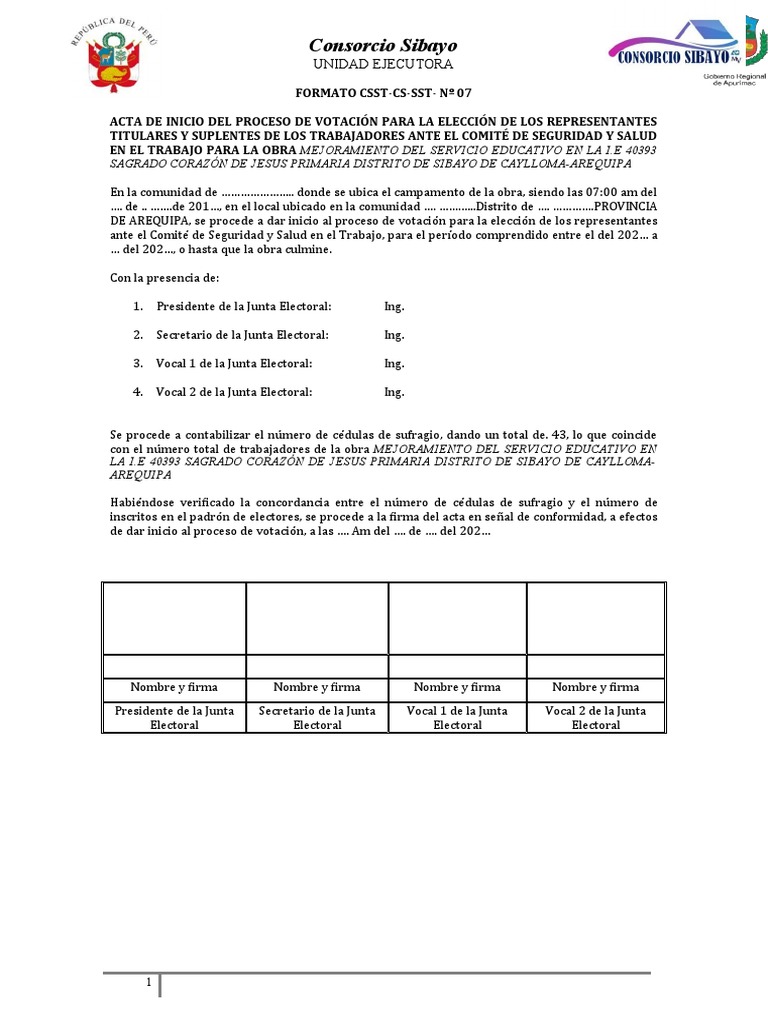 Formato CSST-CS-SST - #07 | PDF