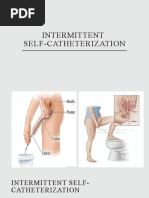 Performing Intermittent Straight Catheterization | PDF | Medical ...