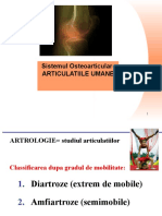 Sistemul Osteoarticular-ARTICULATIILE UMANE