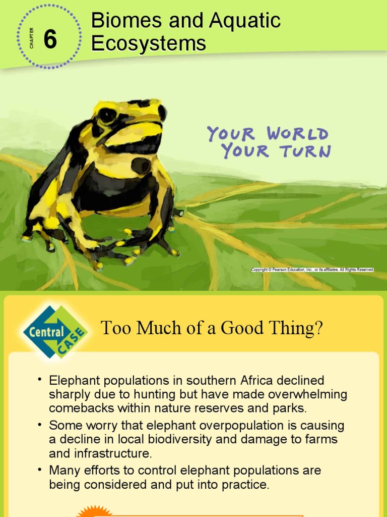 Environmental Science Your World Your Turn Chapter 6 Notes PDF