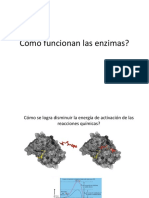 5° - Funcionamiento de las enzimas