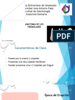 Clase Premolares.pdf Parcial II