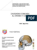 fosas  formato ujap PDF