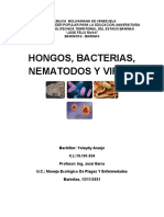 Hongos, Bacterias, Nematodos y Virus