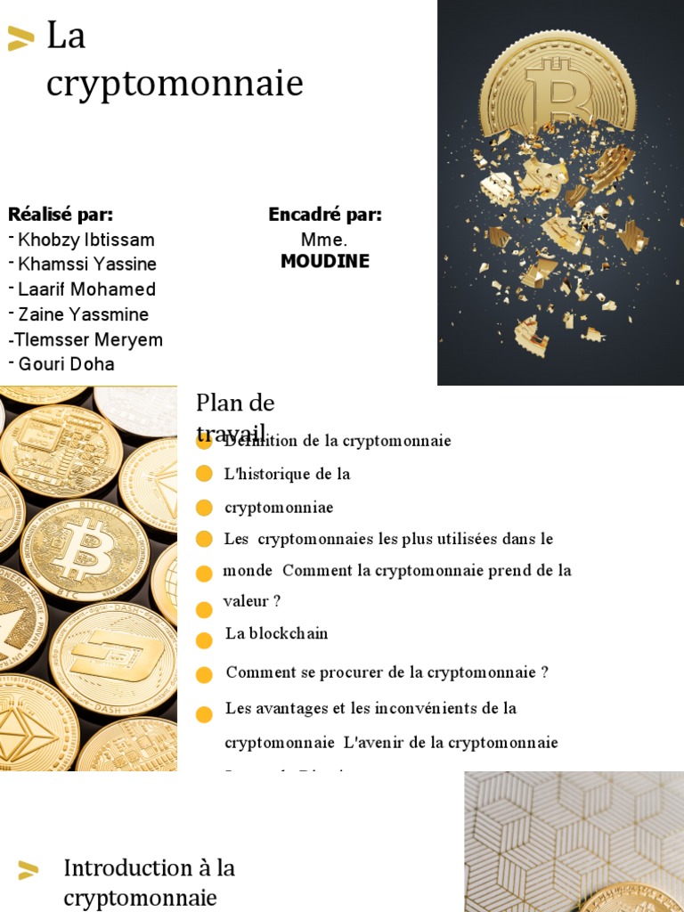 Introduction à la Cryptomonnaie | PDF | Crytomonnaies | Bitcoin