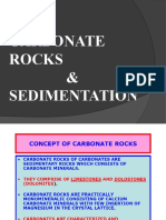 Strat - Carbonate Lecture Coba 03