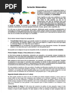 Nnociones y Etapas de La Seriacion