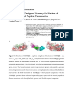 Computational Design of Macrocyclic Binders of S100B (ββ) : Novel Peptide Theranostics