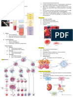 Chapter 11: BLOOD: Functions of Blood: 1. 2. 3. 4. 5. 6. 7. Composition of Blood Erythrocytes