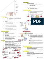 Chapter 10: Endocrine System: To Body Fluids, Including Blood