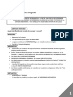 Resumen Sistema Urogenital