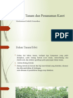 Bahan Tanam Dan Penanaman Karet