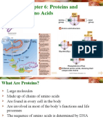 Proteins and Amino Acids