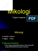 Mikologi