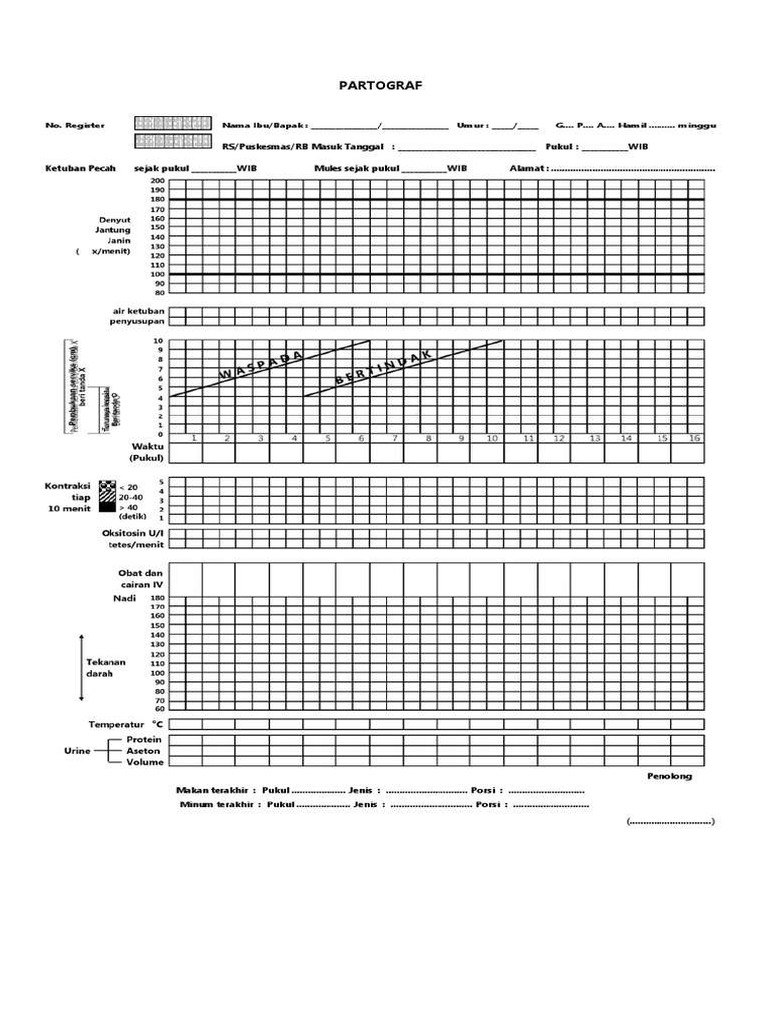 Patograf | PDF