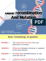 Gene Recombination & Mutation (ST)