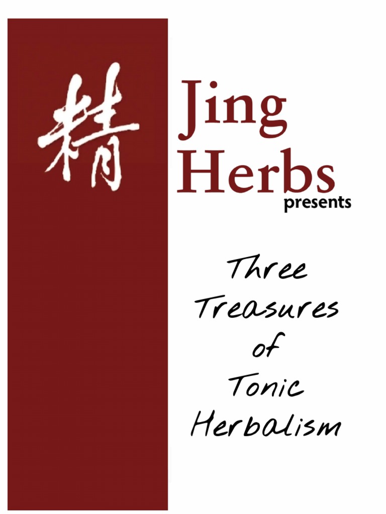 Understanding Jing in TCM | PDF | Traditional Chinese Medicine | Qi