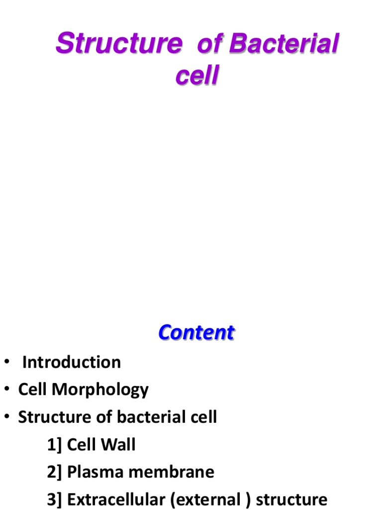 Structure: of Bacterial Cell | PDF | Bacteria | Cell (Biology)