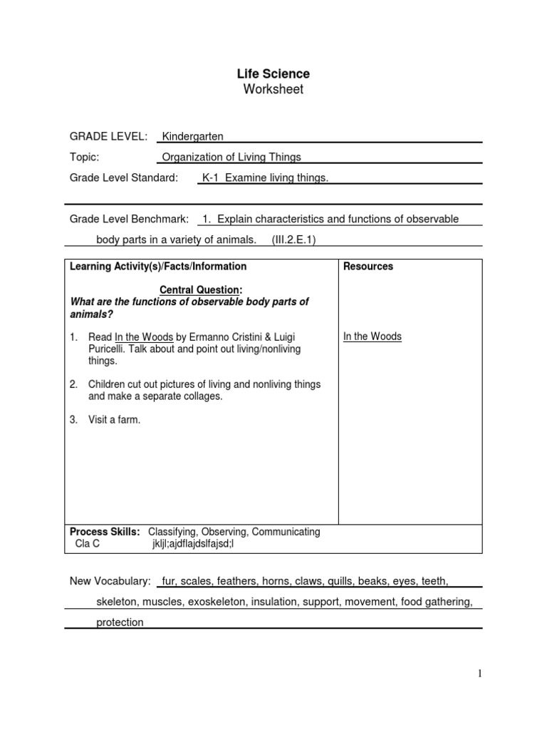 Resources and Activities For Kindergarten | PDF | Theory | Science