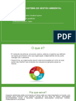 Trabalho ISO 14001 - Sistema de Gestão Ambiental