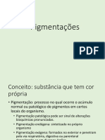 Pigmentações: Substâncias que conferem cor ao corpo</b