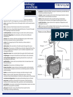 Anatomy & Physiology: The Digestive System