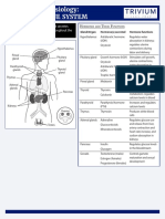 Anatomy & Physiology: The Endocrine System and Its Hormones