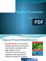 Proiect Biologie - Regnul Procariota