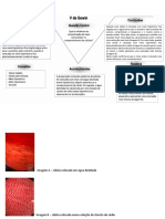 Influencia Da Cocentração Do Meio Extracelular