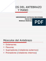 Musculos Antebrazo y Mano