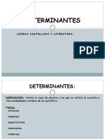 DETERMINANTES