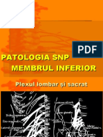 Patologia MbInf