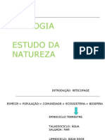 Ecologia: Cadeias alimentares e fluxo de energia