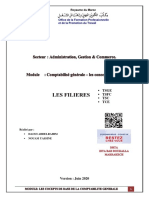 Le Module Des Concepts de Base de La Comptabilte Generale Ofppt Actualise