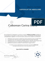 Certificat de Absolvire - Profesor in Online - Calborean Corina Ileana - (Corectat)