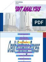 Credit Analysis