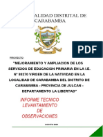 Informe Levantamiento Observaciones