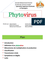 Phyto Virus