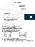 Trial Balance Chapter Explains Preparation and Importance