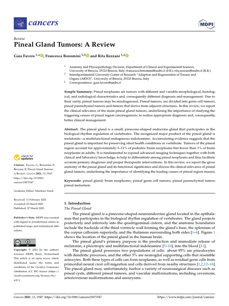 Cancers: Pineal Gland Tumors: A Review | PDF | Brain Tumor | Neoplasms