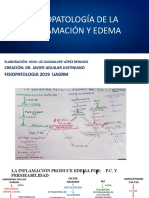 Fisiopatologia Inflamación y Edema 2019-1