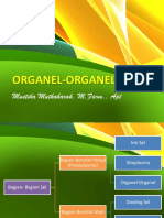 Organel-Organel Sel Baru