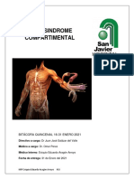 Síndrome compartimental: causas y fisiopatología