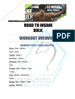 Road to Insane Bulk Workout Overview