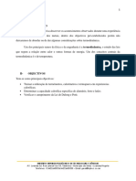 Relatório Capacidade Termica Dos Metais - Docx Original