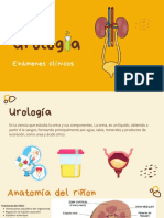 Urología