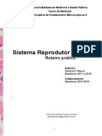 Sistema reprodutor feminino: roteiro prático de histologia