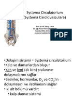 Systema Circulatorium SBF 21