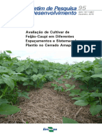 CPAF AP 2016 BPD 95 Cultivar Feijao Caupi