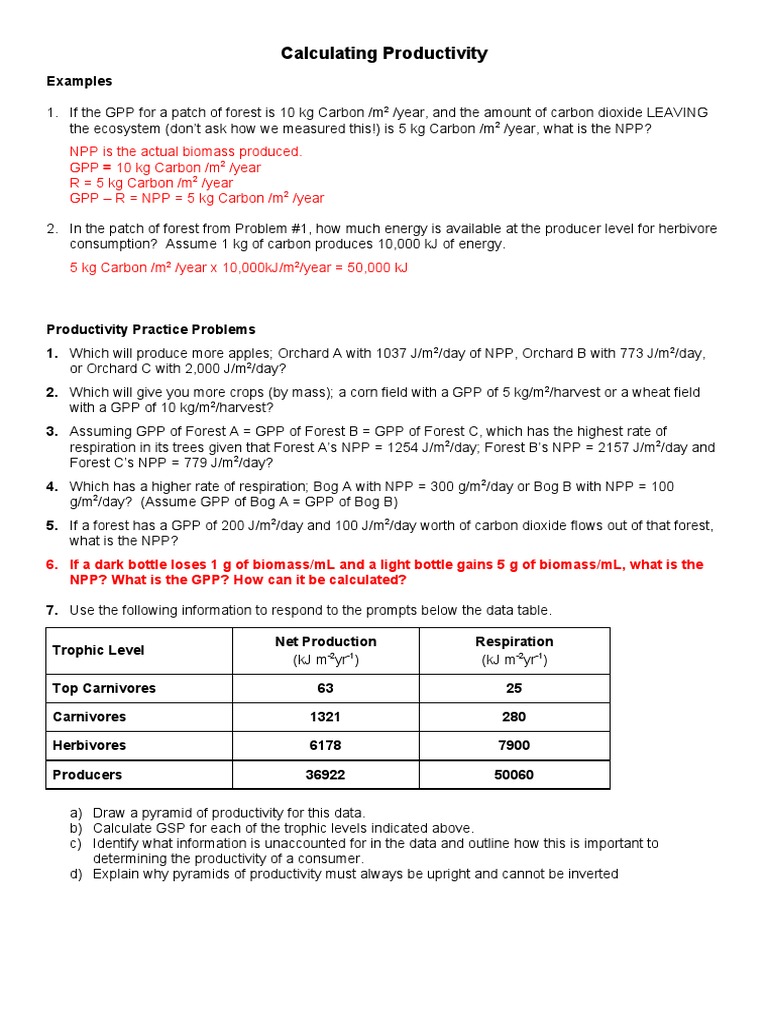 GPP and NPP Calculation Guide | PDF | Primary Production | Organisms